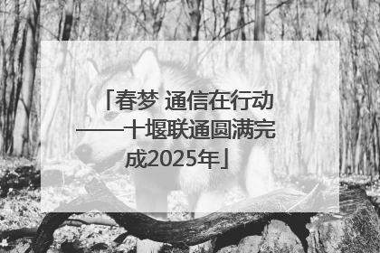 春梦 通信在行动——十堰联通圆满完成2025年