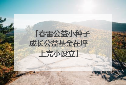 春雷公益小种子成长公益基金在坪上完小设立
