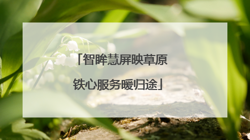 智眸慧屏映草原 铁心服务暖归途