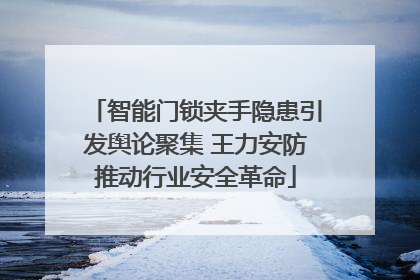 智能门锁夹手隐患引发舆论聚集 王力安防推动行业安全革命