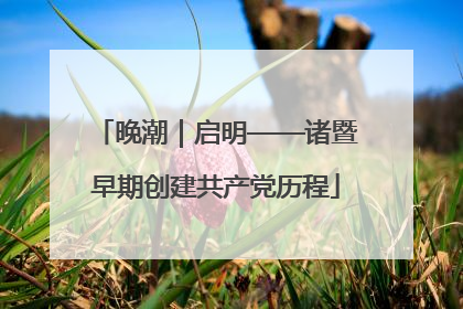 晚潮｜启明——诸暨早期创建共产党历程