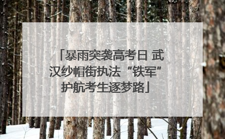 暴雨突袭高考日 武汉纱帽街执法“铁军”护航考生逐梦路
