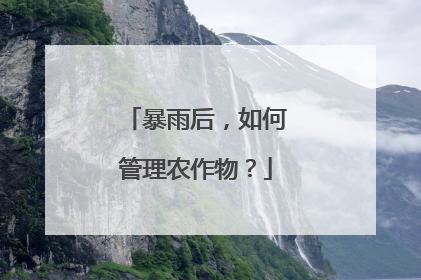 暴雨后，如何管理农作物？