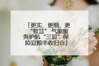 更实、更细、更“智慧” 气象服务护航“三夏”保障夏粮丰收归仓