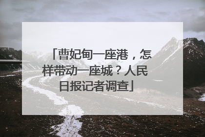 曹妃甸一座港，怎样带动一座城？人民日报记者调查