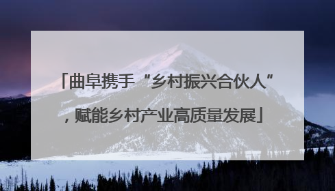 曲阜携手“乡村振兴合伙人”，赋能乡村产业高质量发展