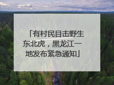 有村民目击野生东北虎，黑龙江一地发布紧急通知