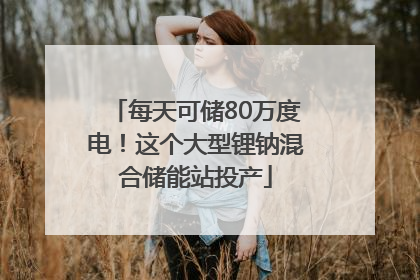 每天可储80万度电！这个大型锂钠混合储能站投产