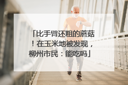 比手臂还粗的蘑菇！在玉米地被发现，柳州市民：能吃吗