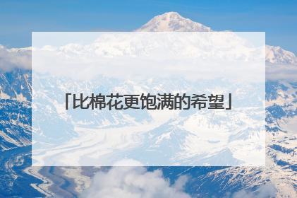 比棉花更饱满的希望