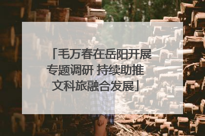 毛万春在岳阳开展专题调研 持续助推文科旅融合发展