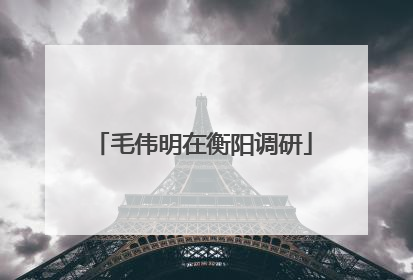 毛伟明在衡阳调研