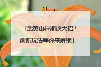 武夷山暑期放大招！创新玩法等你来解锁