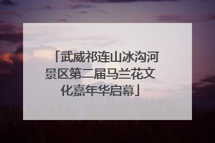 武威祁连山冰沟河景区第二届马兰花文化嘉年华启幕