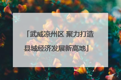 武威凉州区 聚力打造县域经济发展新高地