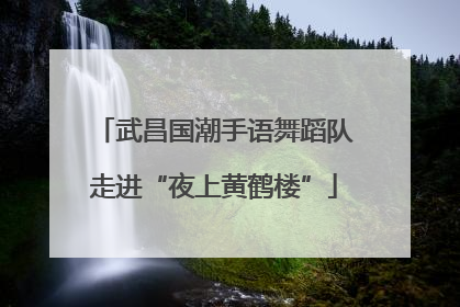 武昌国潮手语舞蹈队走进“夜上黄鹤楼”