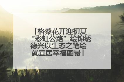 格桑花开迎初夏 “彩虹公路”绘锦绣 德兴以生态之笔绘就宜居幸福图景