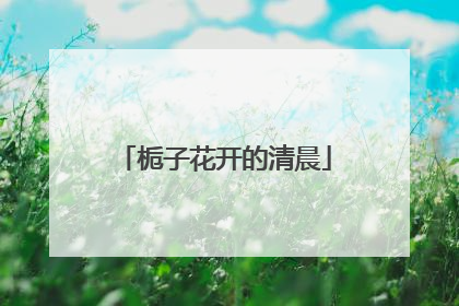 栀子花开的清晨