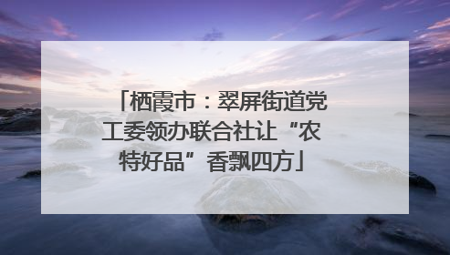 栖霞市：翠屏街道党工委领办联合社让“农特好品”香飘四方