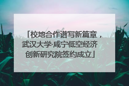 校地合作谱写新篇章，武汉大学·咸宁低空经济创新研究院签约成立
