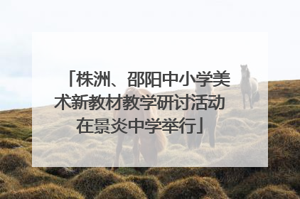 株洲、邵阳中小学美术新教材教学研讨活动在景炎中学举行