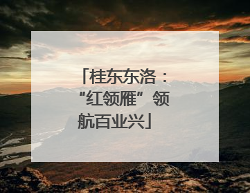 桂东东洛：“红领雁”领航百业兴