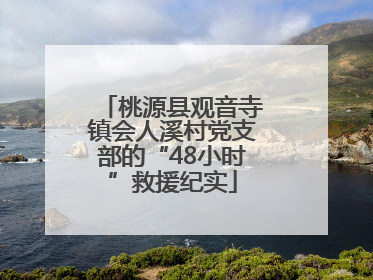 桃源县观音寺镇会人溪村党支部的“48小时”救援纪实