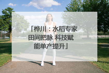 桦川：水稻专家田间把脉 科技赋能单产提升