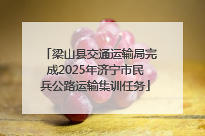 梁山县交通运输局完成2025年济宁市民兵公路运输集训任务