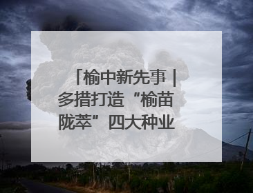 榆中新先事｜多措打造“榆苗陇萃”四大种业育苗品牌