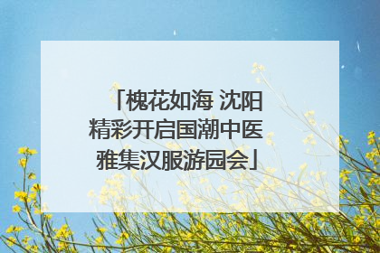 槐花如海 沈阳精彩开启国潮中医雅集汉服游园会