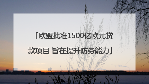 欧盟批准1500亿欧元贷款项目 旨在提升防务能力