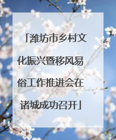 潍坊市乡村文化振兴暨移风易俗工作推进会在诸城成功召开