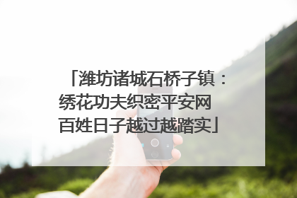 潍坊诸城石桥子镇：绣花功夫织密平安网 百姓日子越过越踏实