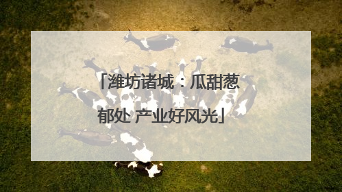 潍坊诸城：瓜甜葱郁处 产业好风光