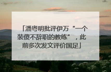 潘粤明批评伊万“一个装傻不辞职的教练”，此前多次发文评价国足