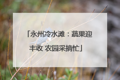 永州冷水滩：蔬果迎丰收 农园采摘忙
