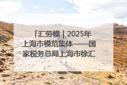 汇劳模｜2025年上海市模范集体——国家税务总局上海市徐汇区税务局第一税务所