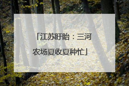 江苏盱眙：三河农场夏收夏种忙