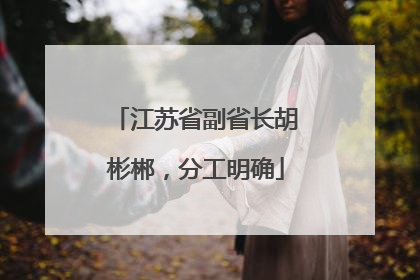 江苏省副省长胡彬郴，分工明确