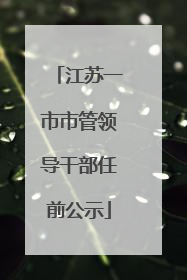 江苏一市市管领导干部任前公示