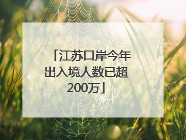 江苏口岸今年出入境人数已超200万