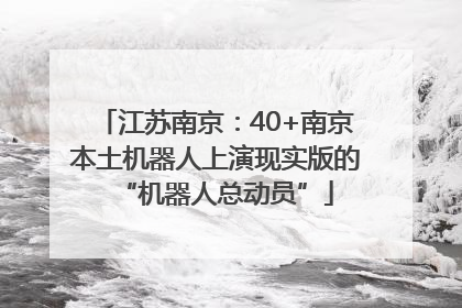 江苏南京：40+南京本土机器人上演现实版的“机器人总动员”