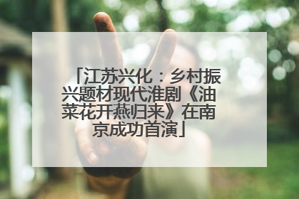 江苏兴化：乡村振兴题材现代淮剧《油菜花开燕归来》在南京成功首演