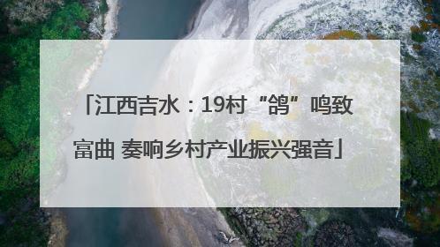 江西吉水：19村“鸽”鸣致富曲 奏响乡村产业振兴强音