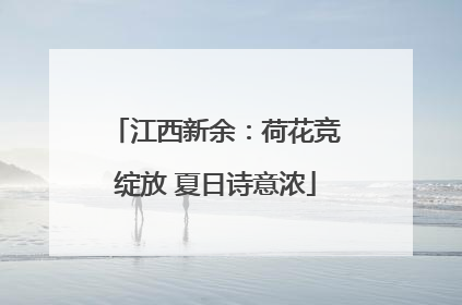 江西新余：荷花竞绽放 夏日诗意浓