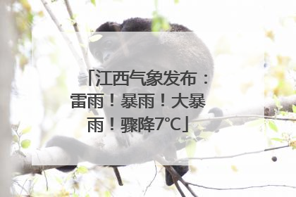 江西气象发布：雷雨！暴雨！大暴雨！骤降7℃