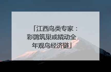 江西鸟类专家：彩鹮筑巢或撬动全年观鸟经济链