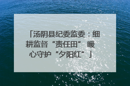 汤阴县纪委监委：细耕监督“责任田” 暖心守护“夕阳红”