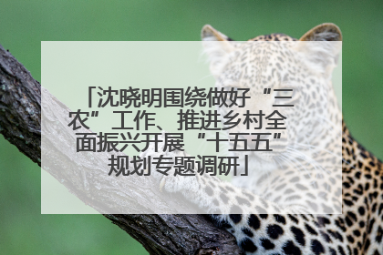 沈晓明围绕做好“三农”工作、推进乡村全面振兴开展“十五五”规划专题调研